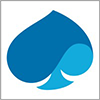 Capgemini Capgemini